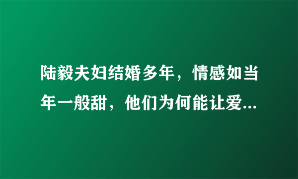 陆毅夫妇结婚多年，情感如当年一般甜，他们为何能让爱情持久保鲜？