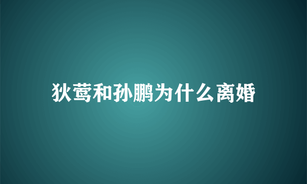 狄莺和孙鹏为什么离婚