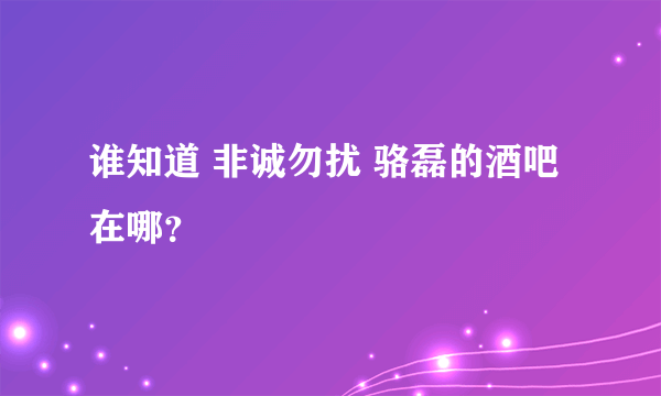 谁知道 非诚勿扰 骆磊的酒吧在哪？