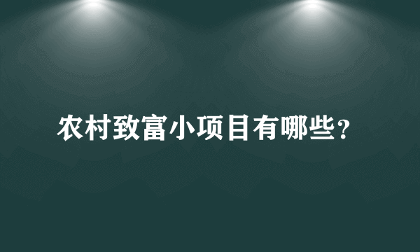 农村致富小项目有哪些？