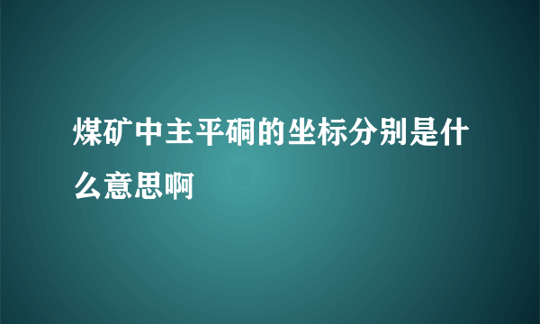 煤矿中主平硐的坐标分别是什么意思啊