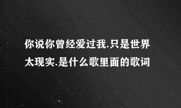 你说你曾经爱过我.只是世界太现实.是什么歌里面的歌词