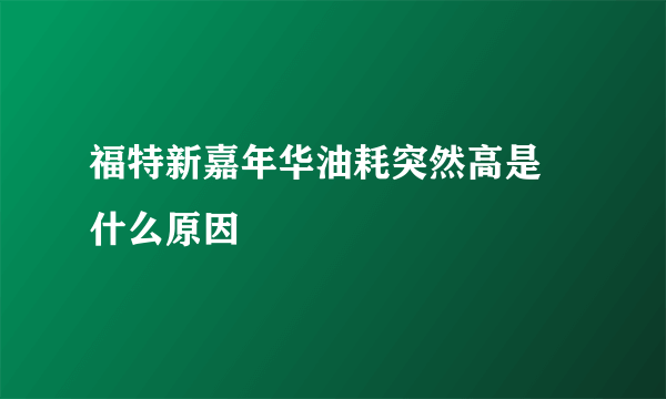 福特新嘉年华油耗突然高是 什么原因