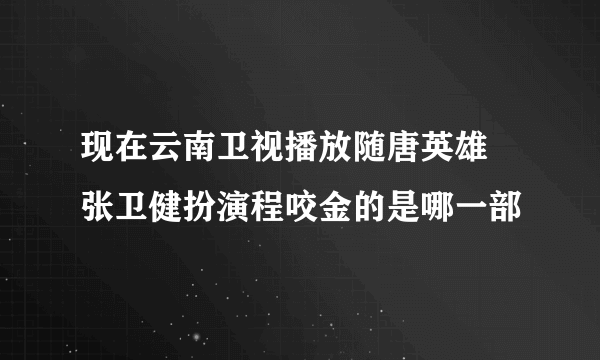 现在云南卫视播放随唐英雄 张卫健扮演程咬金的是哪一部