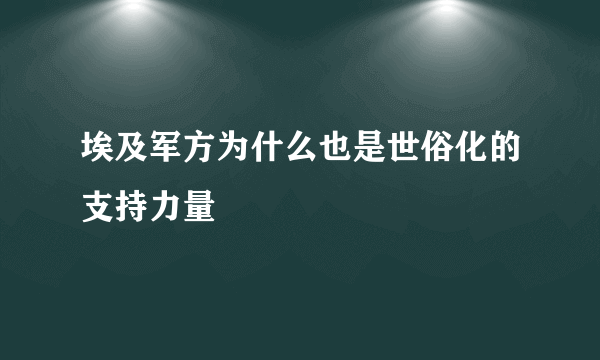 埃及军方为什么也是世俗化的支持力量