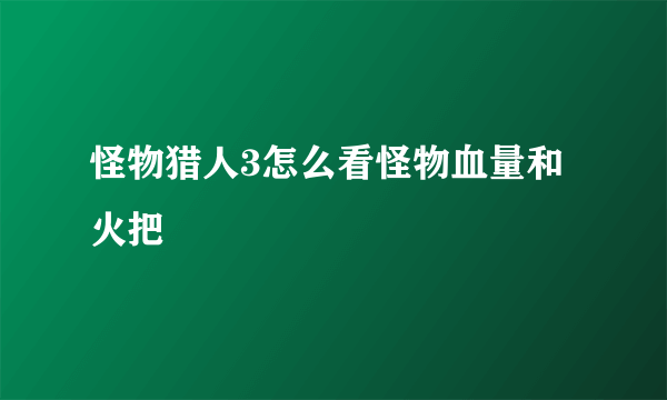 怪物猎人3怎么看怪物血量和火把