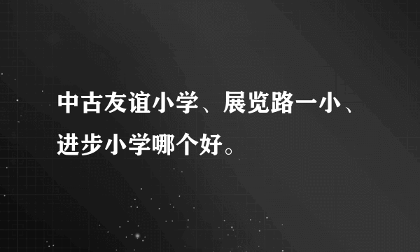 中古友谊小学、展览路一小、进步小学哪个好。