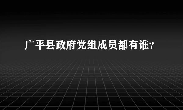 广平县政府党组成员都有谁？