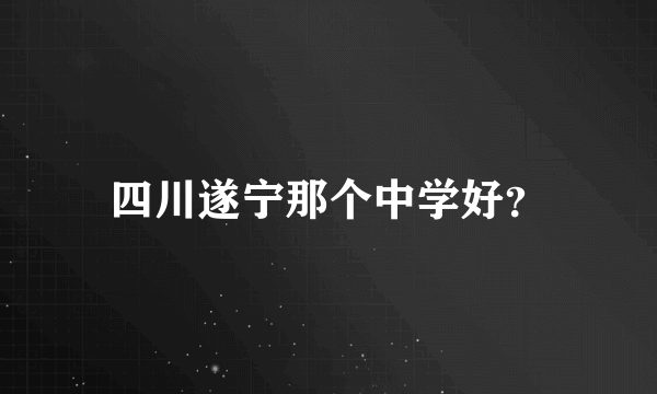 四川遂宁那个中学好？