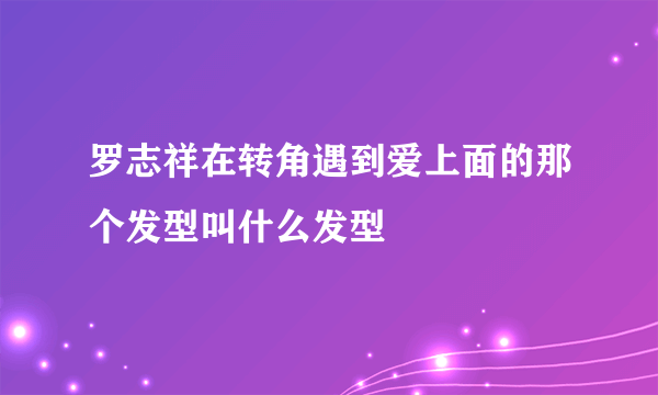 罗志祥在转角遇到爱上面的那个发型叫什么发型