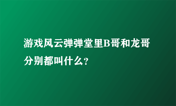 游戏风云弹弹堂里B哥和龙哥分别都叫什么？