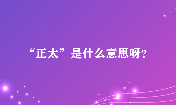 “正太”是什么意思呀？