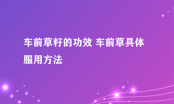 车前草籽的功效 车前草具体服用方法