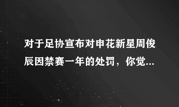 对于足协宣布对申花新星周俊辰因禁赛一年的处罚，你觉得足协的处罚是否过重？