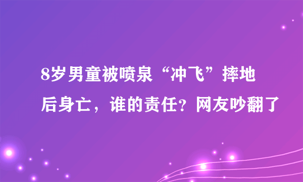 8岁男童被喷泉“冲飞”摔地后身亡，谁的责任？网友吵翻了