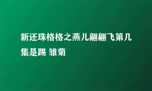 新还珠格格之燕儿翩翩飞第几集是踢 雏菊