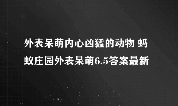 外表呆萌内心凶猛的动物 蚂蚁庄园外表呆萌6.5答案最新