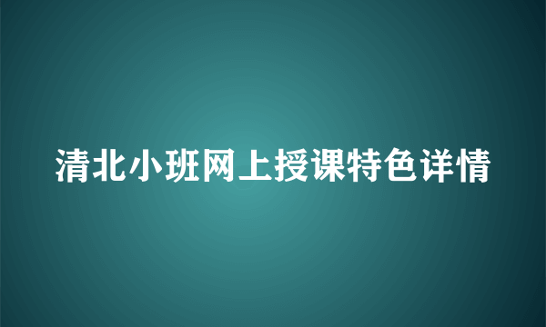 清北小班网上授课特色详情