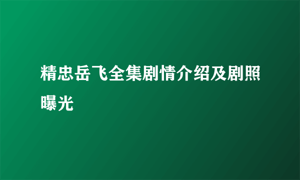 精忠岳飞全集剧情介绍及剧照曝光