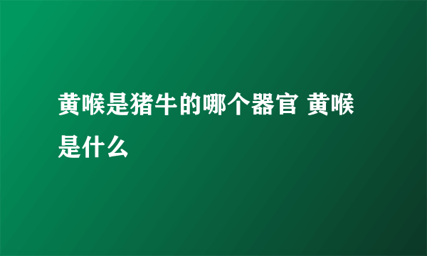 黄喉是猪牛的哪个器官 黄喉是什么