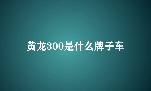 黄龙300是什么牌子车