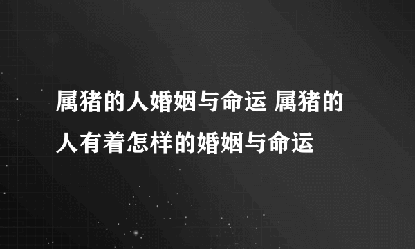 属猪的人婚姻与命运 属猪的人有着怎样的婚姻与命运