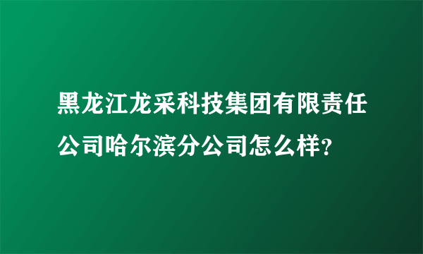 黑龙江龙采科技集团有限责任公司哈尔滨分公司怎么样？