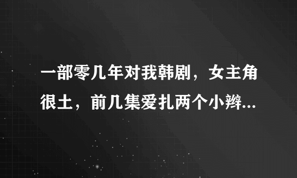 一部零几年对我韩剧，女主角很土，前几集爱扎两个小辫子，是什么电视剧啊？