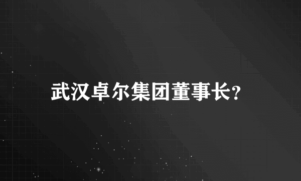 武汉卓尔集团董事长？