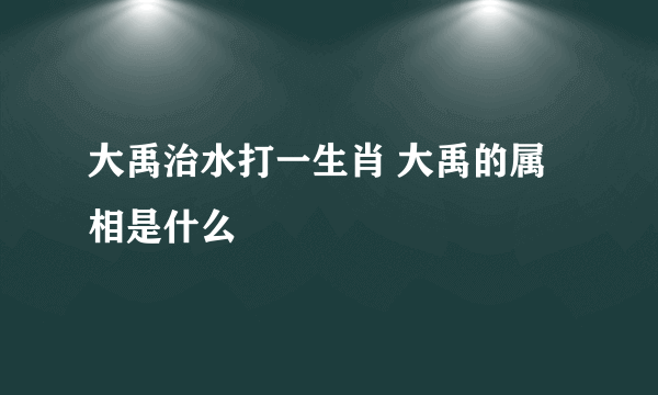 大禹治水打一生肖 大禹的属相是什么