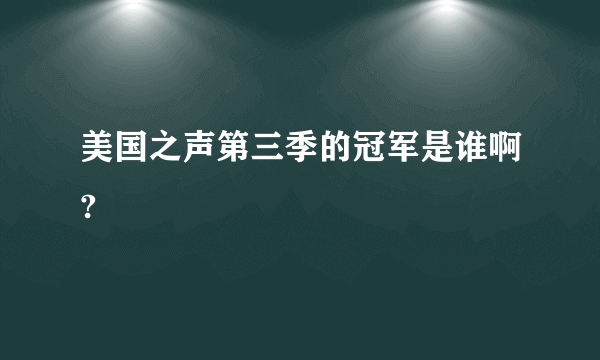 美国之声第三季的冠军是谁啊?