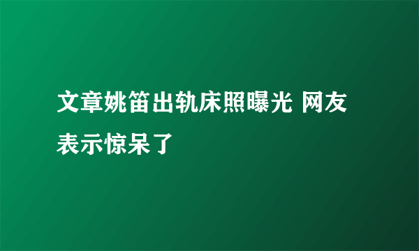 文章姚笛出轨床照曝光 网友表示惊呆了