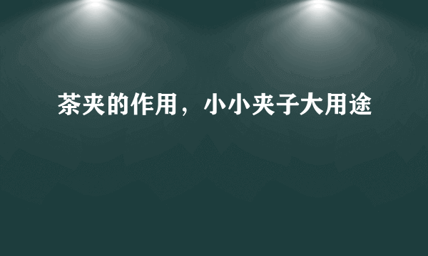 茶夹的作用，小小夹子大用途