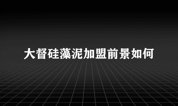 大督硅藻泥加盟前景如何