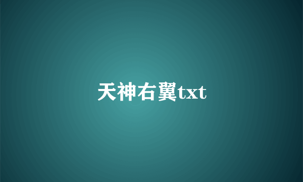 天神右翼txt