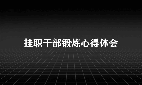 挂职干部锻炼心得体会