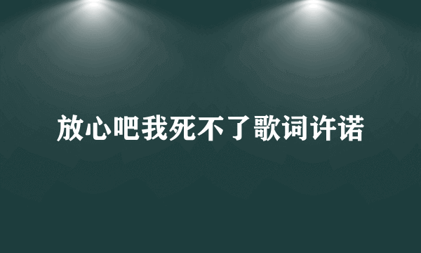 放心吧我死不了歌词许诺