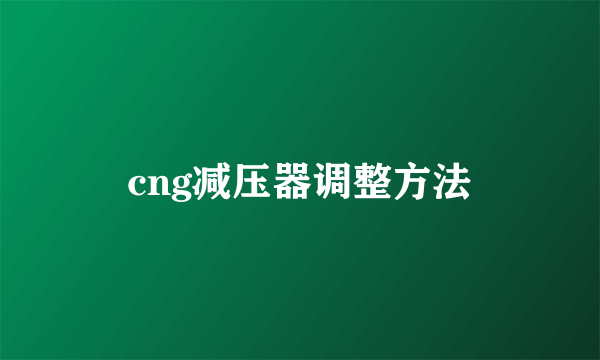 cng减压器调整方法