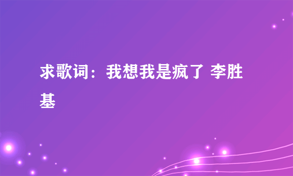 求歌词：我想我是疯了 李胜基