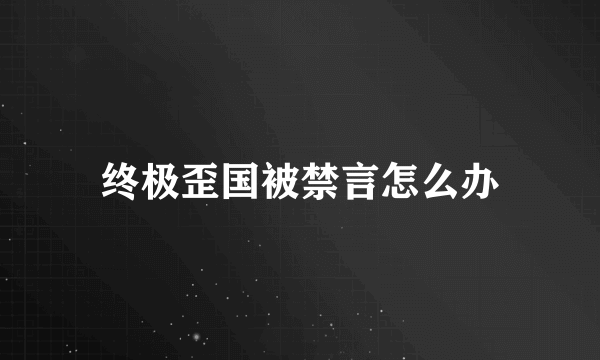 终极歪国被禁言怎么办