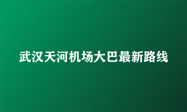 武汉天河机场大巴最新路线