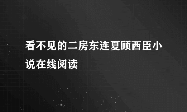 看不见的二房东连夏顾西臣小说在线阅读