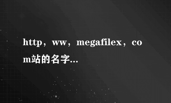 http，ww，megafilex，com站的名字我修改了.现在我打不开了.以前可以的.别的电脑可以我的就不可以？为什么