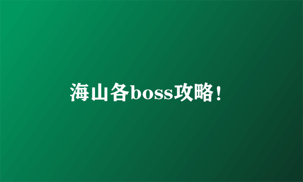 海山各boss攻略！