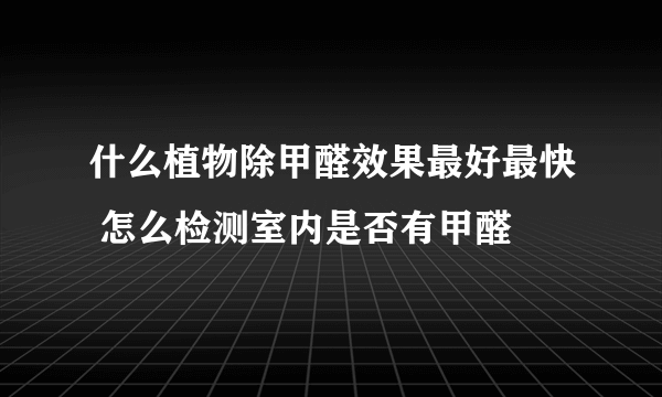 什么植物除甲醛效果最好最快 怎么检测室内是否有甲醛