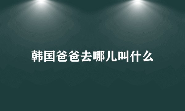 韩国爸爸去哪儿叫什么