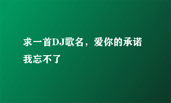 求一首DJ歌名，爱你的承诺我忘不了