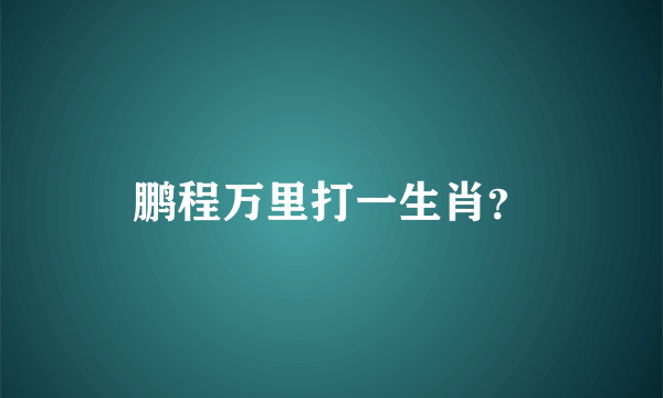 鹏程万里打一生肖？