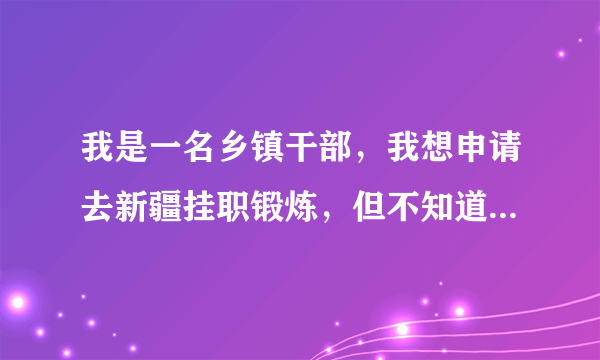 我是一名乡镇干部，我想申请去新疆挂职锻炼，但不知道怎样去，该办些什么手续？