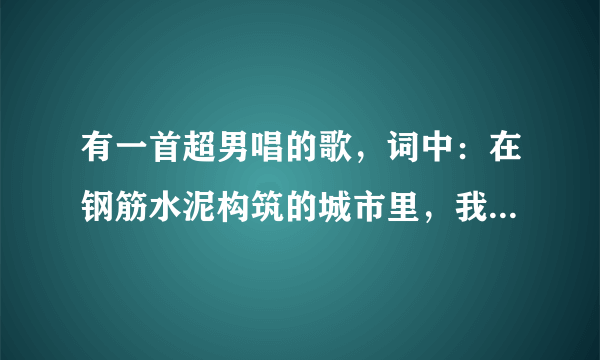 有一首超男唱的歌，词中：在钢筋水泥构筑的城市里，我就像无助的孩子。歌名是什么？